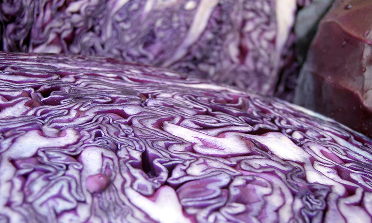 Close-up of the structure of a cabbage head.