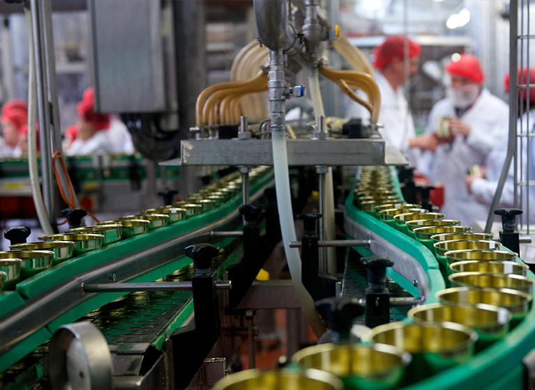 Cans of Sauerkraut getting filled by a machine.