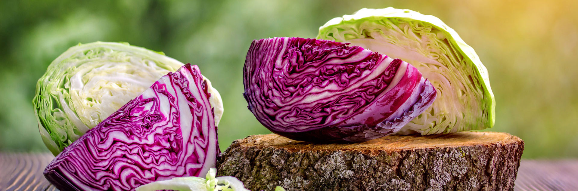 Quartered Sauerkraut and red cabbage heads.