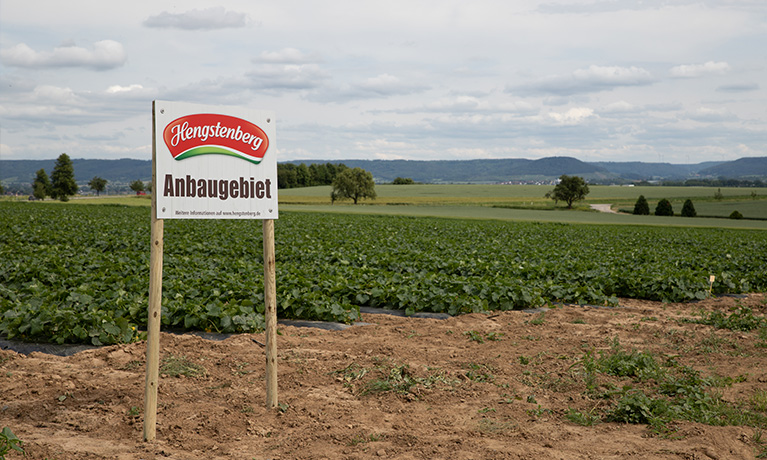 A sign in front of a gherkin field.