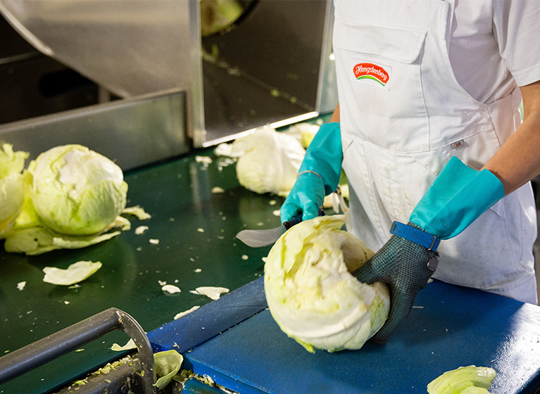 A person removing cabbage leaves from a cabbage head.